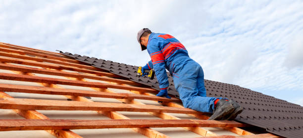 Best Asphalt Shingle Roofing  in Roanoke, TX